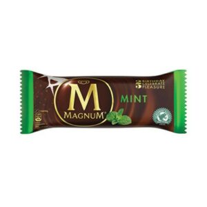 WALLS MAGNUM MINT 100 ml