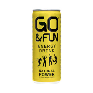 GO & FUN LEMON GINGER 250 ML