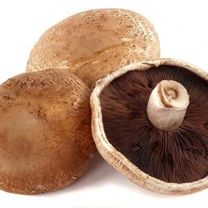 FRT&VEG MUSHROOM PORTOBELLA HOLLAND
