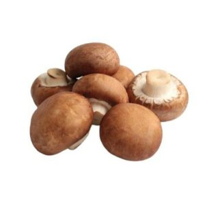 FRT&VEG MUSHROOM CHESTNUT HOLLAND
