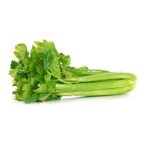 FRT VEG CELERY HEARTS NETHERLANDS