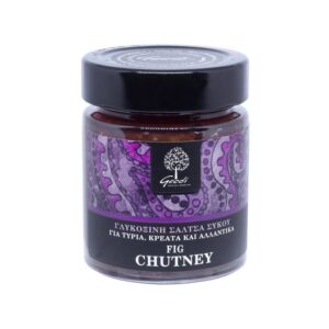 GEODI FIG CHUTNEY 175 GRMS