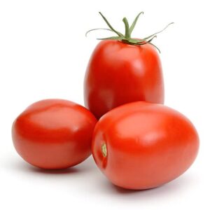 FRT VEG TOMATO ROUND VINE HOLLAND