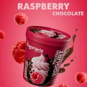 YOGURTERIA FROZEN YOGURT RASPBERRY DARK CHOC 500 ML